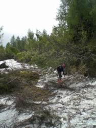 42_si scia ovunque.JPG